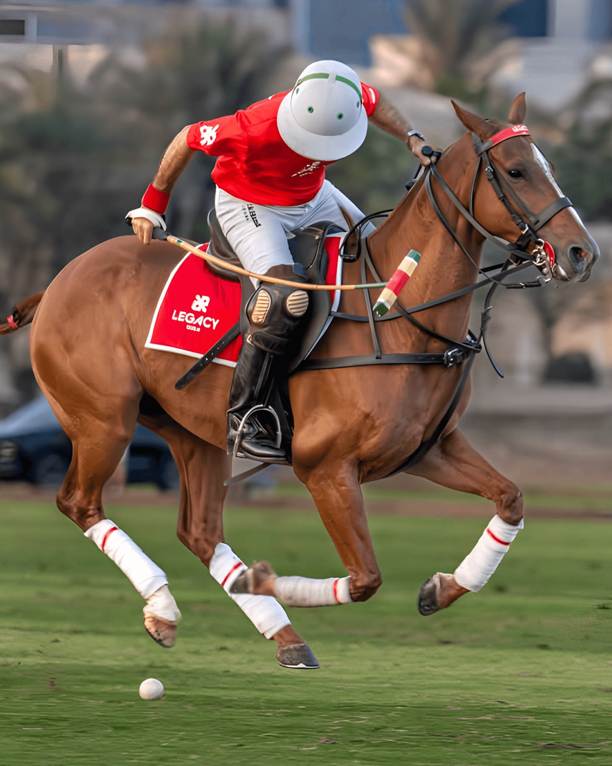 Legacy Polo Team